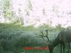 MDGC0080.jpg