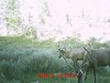 MDGC0081.jpg