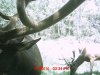 MDGC0063.jpg