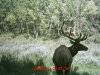 MDGC0064.jpg