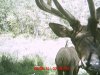 MDGC0065.jpg