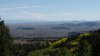 DSC00016.jpg