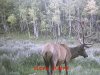 MDGC0230.jpg
