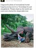 triceratops.jpg