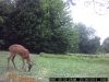 4Pt.jpg
