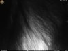 RCX_0078.jpg