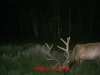 MDGC0040 (2).jpg