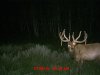 MDGC0042 (2).jpg
