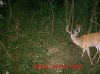 MDGC0319.jpg