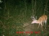 MDGC0325.jpg