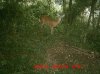 MDGC0149.jpg