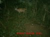 MDGC0354.jpg