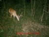 MDGC0187.jpg