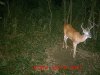 MDGC0228.jpg