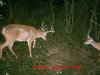 MDGC0310.jpg