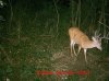 MDGC0318.jpg