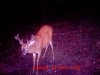 MDGC0080.jpg