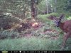 PICT0031.jpg