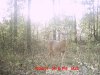 Mississippi Oct. 2011 055.jpg
