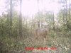 Mississippi Oct. 2011 056.jpg