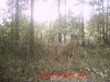 Mississippi Oct. 2011 058.jpg