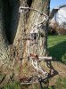 100_1551.jpg