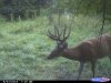 CDY_0482.jpg