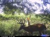 CDY_0019.jpg