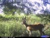CDY_0023.jpg