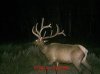 MDGC0077.jpg