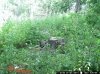 trail cam pics dons 963.jpg
