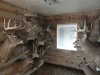 hunting room2.jpg