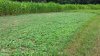 20140726_104835.jpg