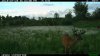 IMG_0434 - Copy.jpg