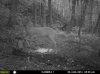 a5 check aug11-5.jpg