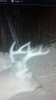 BUCK 4.jpg