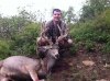 Deer 2012.jpg