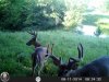 HUNT0239.jpg