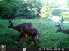 HUNT0258.jpg
