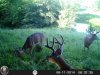 HUNT0292.jpg