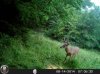 HUNT0817.jpg