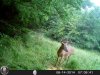 HUNT0842.jpg