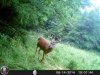 HUNT1231.jpg