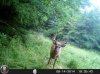 HUNT1364.jpg