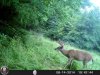 HUNT1399.jpg
