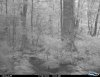 Cdy00357.jpg