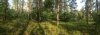 camera location.jpg