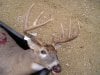 Buck 18 11-02-13.jpg