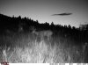 8-2-2014 Midridge Meadow.jpg