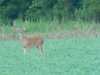 DSCN0179.jpg